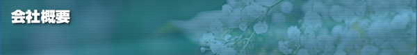 ЊTv